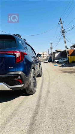 کیا سێلتۆس